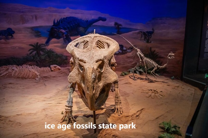 ice age fossils state park