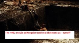 1982 movie poltergeist